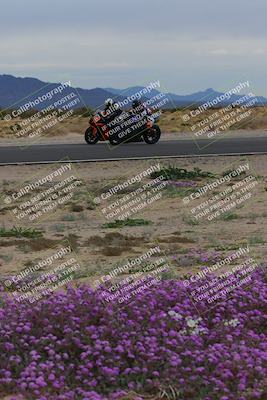 media/Jan-14-2023-SoCal Trackdays (Sat) [[497694156f]]/Turn 14 Exit Bloomig (145pm)/